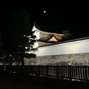 (야간)가을 밤의 플로리스트(10월) | 오사카 교토 가볼만한곳 니조성 벚꽃 가을 야간개장 일루미네이션 후기