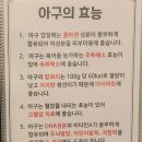 팔딱활아구 | 경남 아구찜 김해 장유 팔딱활아구 맛집이네