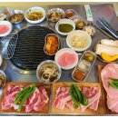 돈구어 이미지