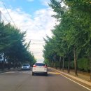 가야골프클럽스크린 이미지