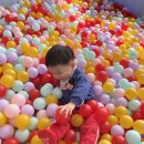평궁길 | 가치있는농장 🍓후기🍓