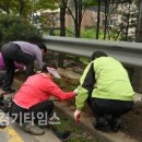 송죽골 이미지