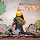 스누피 애견 | 제주도 스누피가든 수요일에 애견동반 방문한 솔직후기 기운이 왕성한 분들은 사진 백만장 찍어오실듯
