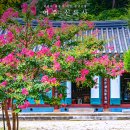 경기도 가볼만한곳 :: 당일치기 여행 다녀오기 좋은 여주 신륵사