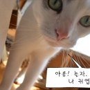 꽃비민박 이미지