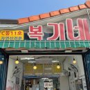 복기애견 이미지