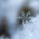 01.15(월) 세상의 모든 정보, 오늘의 똑똑한 뉴스, 뉴스 종합 모음