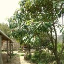 산길별채 이미지