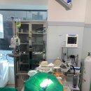 돌봄동물메디컬클리닉 이미지