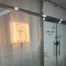 온래쉬(ON LASH) | 양주속눈썹연장 | 양주 옥정 속눈썹 잘하는 곳, [카멜래쉬] 에서 2D 볼륨 연장 받고 온 후기!