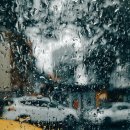 노블레스노마드 이미지