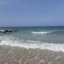 지티행정사사무소 이미지