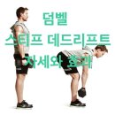 신림헬스 고운짐 이미지