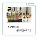 여행램프협동조합 네이버블로그