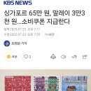 싱가포르 65만 원, 말레이 3만3천 원…소비쿠폰 지급한다 이미지