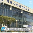 수협 상동지점 네이버블로그