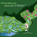 푸른솔 이미지