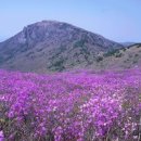 2015년 5월 제170차 정기산행 대구 비슬산 (1,084ｍ) 이미지