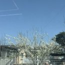 소담한밥상 | [여주] 소담한상 정갈한 밥상 세종대왕릉 맛집 내돈내산