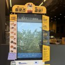 컴포즈커피마석
