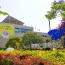 금촌체육공원 축구장 이미지