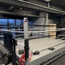 곽우철복싱 이미지