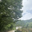 광주캠핑식당 추천! 장성 더숲 글램핑 솔직후기🏕️