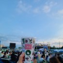 바로 어제 다녀온 따끈따끈 2022 전주가맥축제 후기!