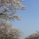 신풍보건진료소 | 제주 동쪽 벚꽃 명소: 녹산로, 신풍리, 와흘전원마을, 대흘못