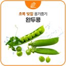 옹기종기밥상