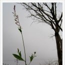 수선마당 이미지