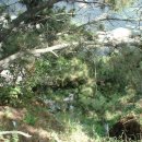 돈먹고 돈주기 이미지