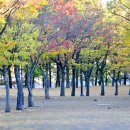 옥동5공원 이미지