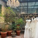 디케이팜 | 로즈로사, 로브드K, 에토프꾸뛰르 본식드레스 투어 후기