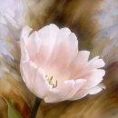 보테니컬 이미지