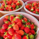 범준농장 이미지