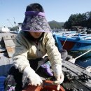 환상의섬 이미지