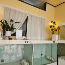 그루밍독스 이미지