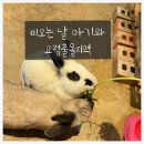 요정출몰지역 | 비오는날 아기와 서울근교 하남 / 요정출몰지역