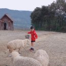 소노벨비발디파크 이미지