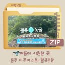 대인세계맥주 | [당일치기] 충주 아이랑 시원한 실내여행! 충주 아쿠아리움 / 충주 활옥동굴 솔직후기, 정보