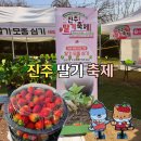 진서고등학교 | 2026 진주 수곡 딸기축제 첫날 방문 후기 주말 데이트로 추천