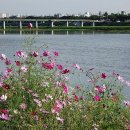 서천공원 이미지