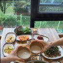 능이버섯백숙 이미지