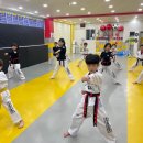 강한아이태권도장 이미지