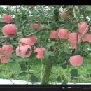 (주)남도환경 이미지