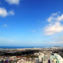 서귀포 동부 노인복지회관 이미지