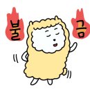 천송화