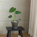 스몰닷 | zara home - 자라홈 스몰 스툴 블랙 구매 후기 (인테리어 소품, 화분받침대)