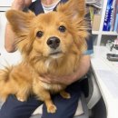 장전로6번길(3-304) | 낙성대 마사지 추천, 조이약손 윤곽관리 후기 (붓기 빠짐 실화)